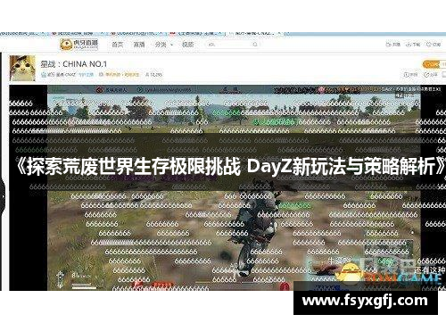《探索荒废世界生存极限挑战 DayZ新玩法与策略解析》