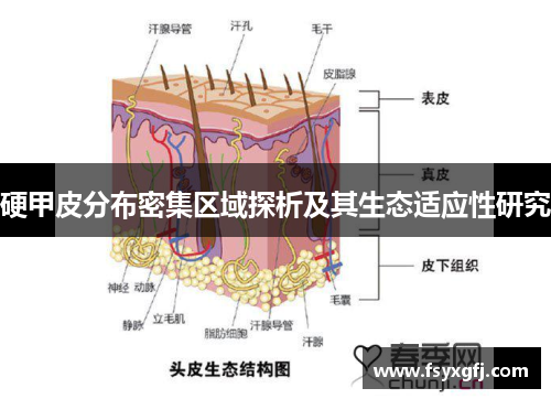 硬甲皮分布密集区域探析及其生态适应性研究