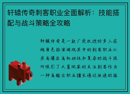 轩辕传奇刺客职业全面解析：技能搭配与战斗策略全攻略